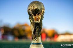 开云体育入口-世界足球赛事引发热潮，球迷争相门票的简单介绍