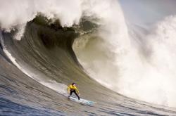 开云体育登录-年度焦点之战，文班亚马关键节点连续得分，锁定历史性胜利