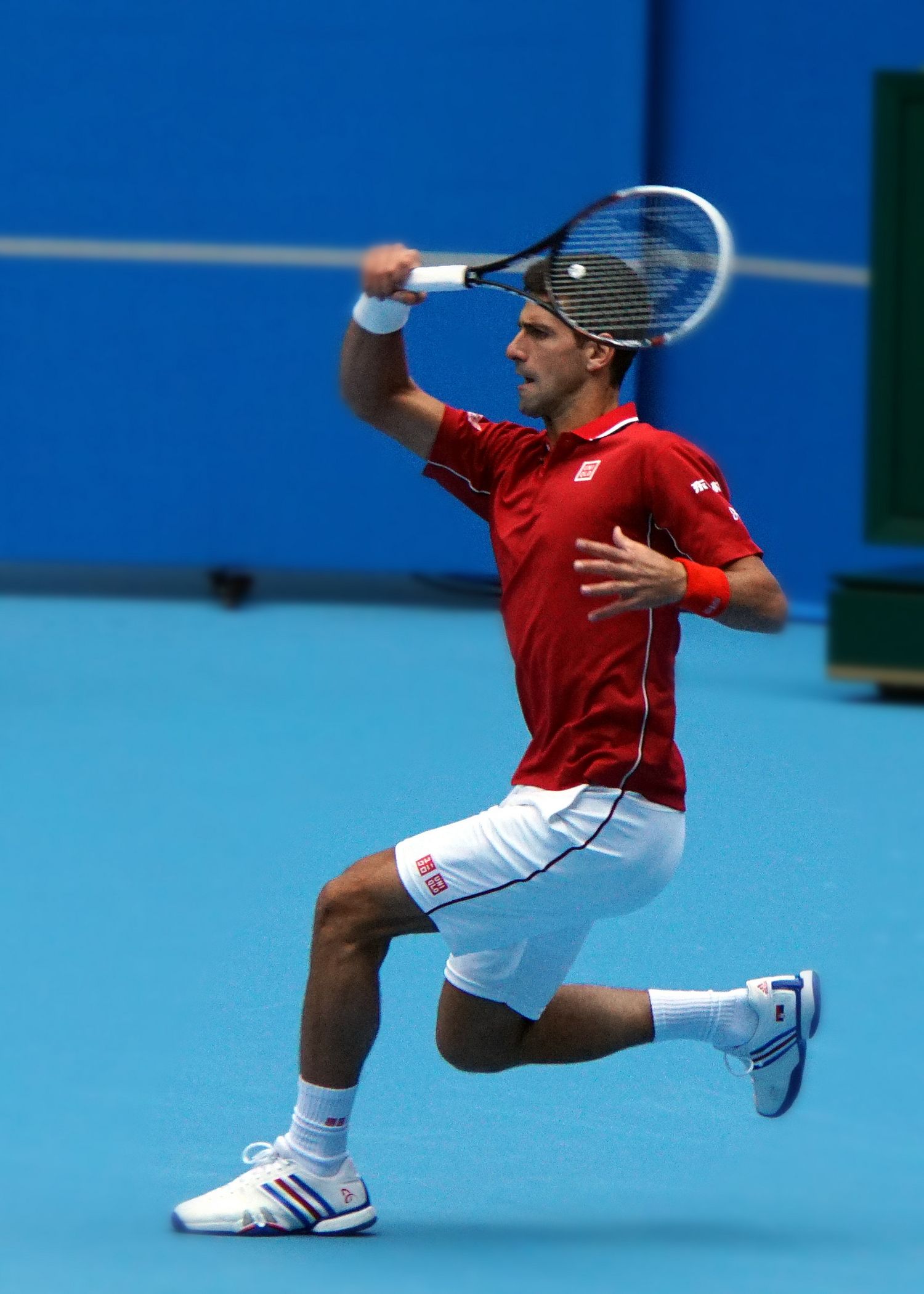 西班牙网球队逆转德国网球队，德约科维奇惊艳世界的简单介绍