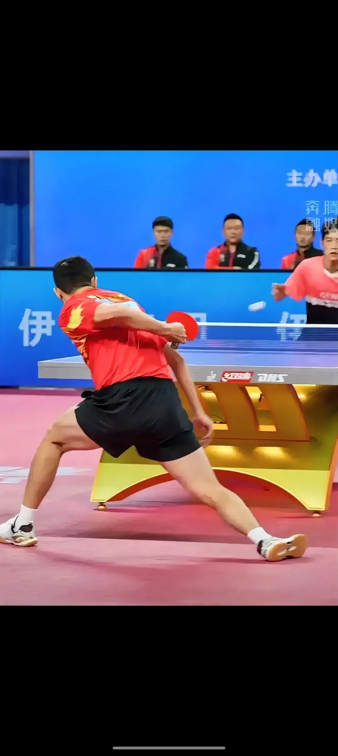 关于日本乒乓球队险胜比利时乒乓球队,许昕关键制胜的信息 关于日本乒乓球队险胜比利时乒乓球队,许昕关键制胜的信息