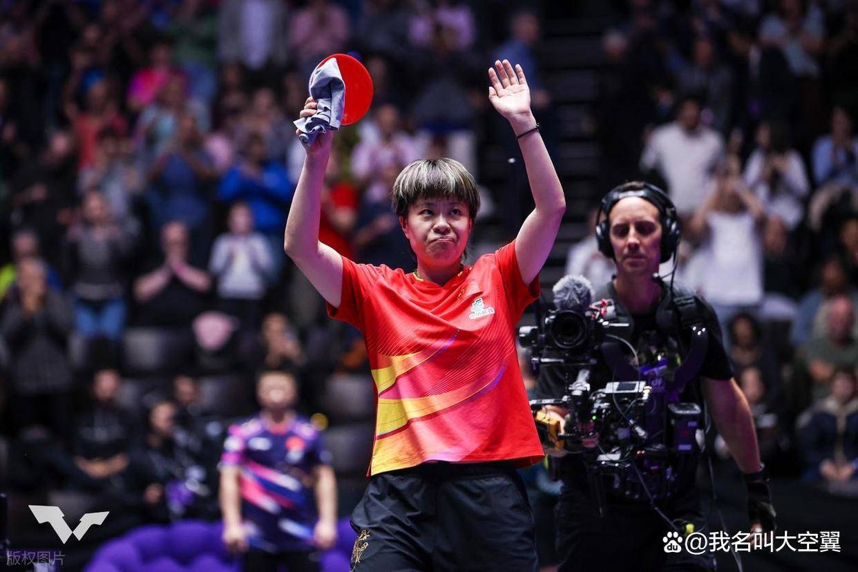 丹麦羽毛球队绝地反击中国羽毛球队，马琳绝境逆转的简单介绍