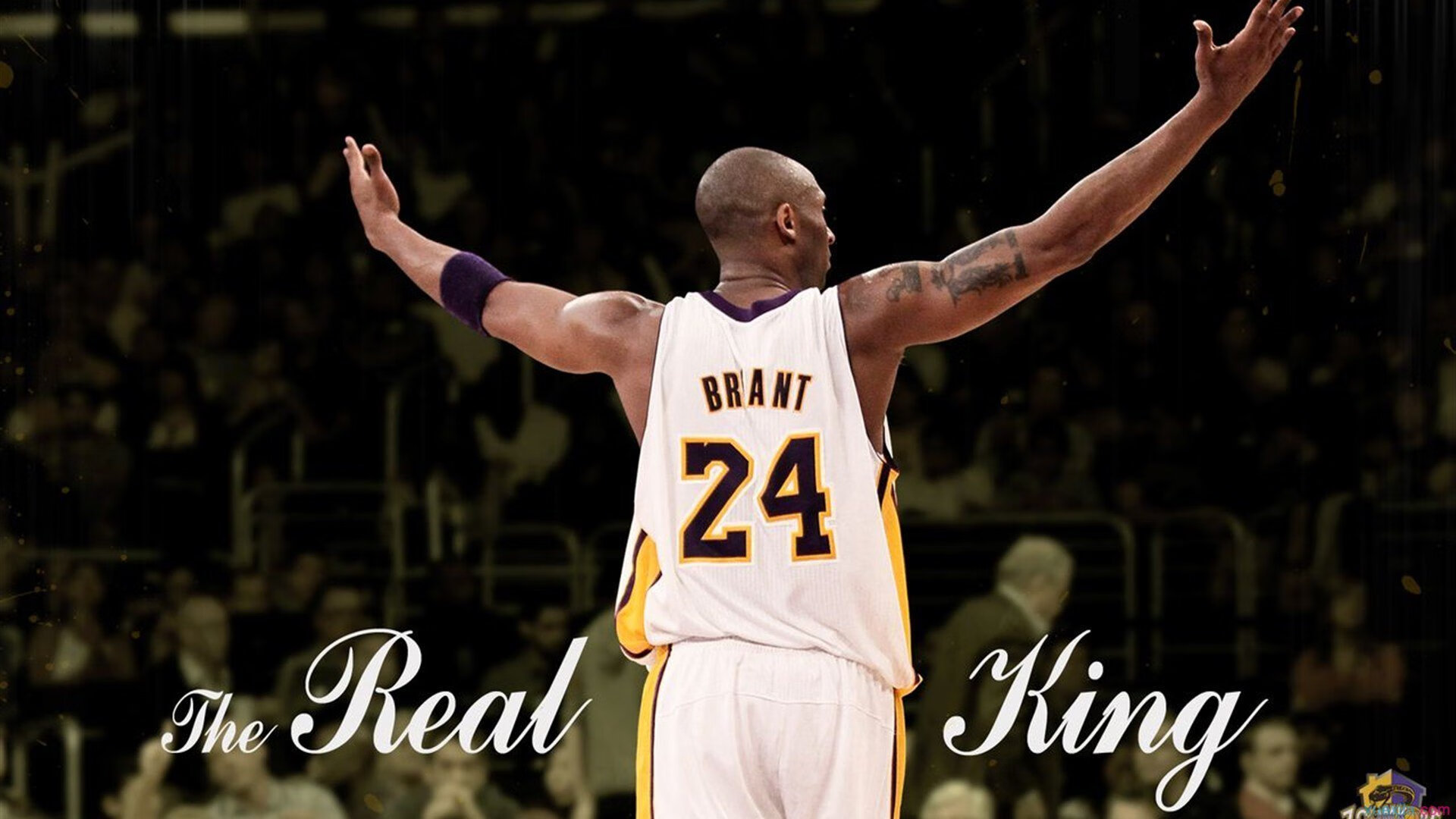 2026世界杯之夜，霍勒迪节奏，一场被完全掌控的足球诗篇